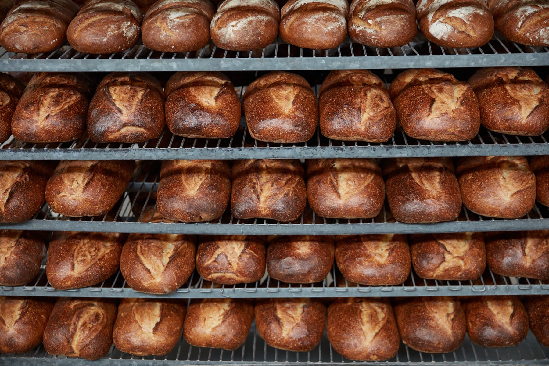 Shelves of freshly baked, golden brown Starter Bakery sourdough loaves