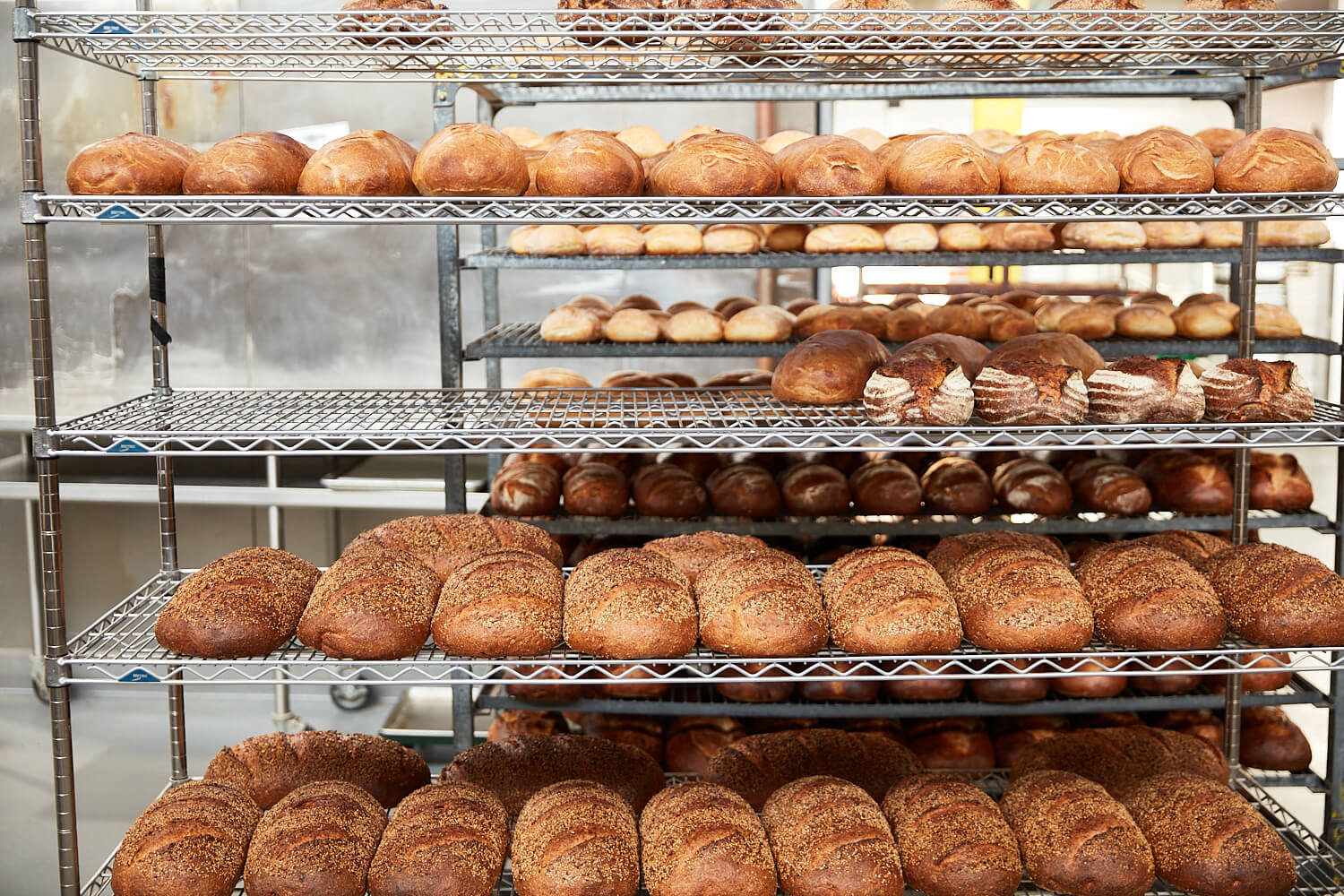A view of a trolley full of a variety of freshly baked loaves from Starter Bakery. In the background are more trolleys full of more fresh loaves